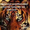 carlosomaribarr50