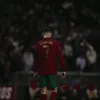 pedro.neto659