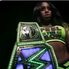 your_wwecredits
