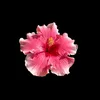 sunni_1104