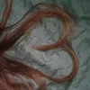minayara08
