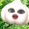 qishzxy