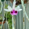 thanh.nhn96607