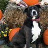 autumn43812