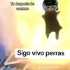 user3495252050700