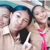 vicca.vicca