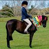 Brin.millar.equstrian