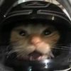 r1zzyyy0