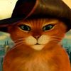 teamgato111