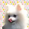 umeiro_soda