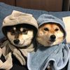 thatoneduo.kadyandmya