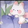 saohaysoi