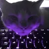 s1mplexzoe5