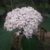 a.uywehc