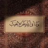 ibrahim_reda_3