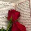 ali.mhmad316