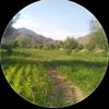 safiin39