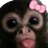 mayaaaaa045