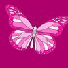 siline5277