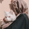 its_manoo49