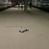 tapkiotpapki