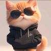 user876407313