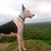 king..of.tiktok3
