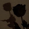 hecate_morana