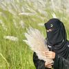 ahsan.habib8014