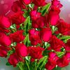 user8852295075183