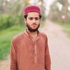 janib.ali.palh