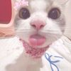 nny_xlyaa