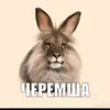 1838747477473277272yyy
