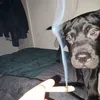 wazdog8