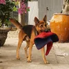 Mi Lô Ở Miền Tây