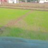 user7291267701402