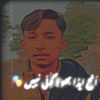 sardars620