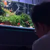baby.fish491