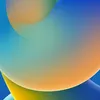 griboed20527160274