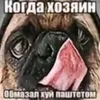 qulay_bald