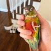 mom_eater6