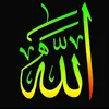 xfxfg12