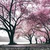 erunda_soso
