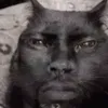 marcosdmatta5