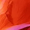 user5161123431109