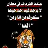 amerr_1234