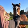 راء..🇯🇴🦌♡︎ 🐾