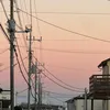 shika_foto_