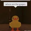 zacharylloyd087