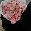 user3502244421868